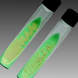 Löwenstein–Jensen Medium - Lowenstein Jensen Medium