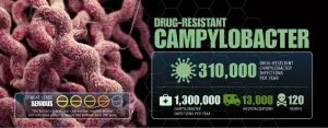 Drug Resistant Campylobacter serious threat to human being