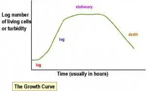 Bacterial growh Curve