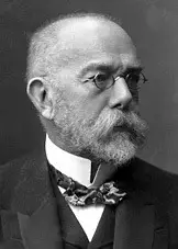 Robert Koch: Won Nobel Prize in 1905 in Physiology or Medicine for discovery related to Tuberculosis