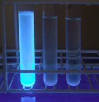 E. coli use MUG as a substrate, releasing a fluorogenic compound