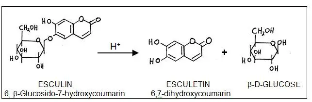 Esculin Hydrolysis; Chemical reaction