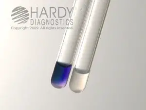 Hippurate hydrolysis test-Left (positive tube), Right (Negative tube)