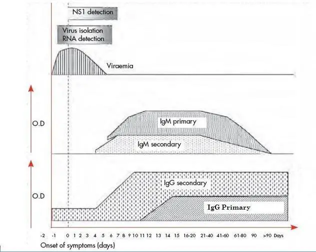 Fig 2: Approximate time-line of primary and secondary dengue virus infections and the diagnostic methods that can be used to detect infection