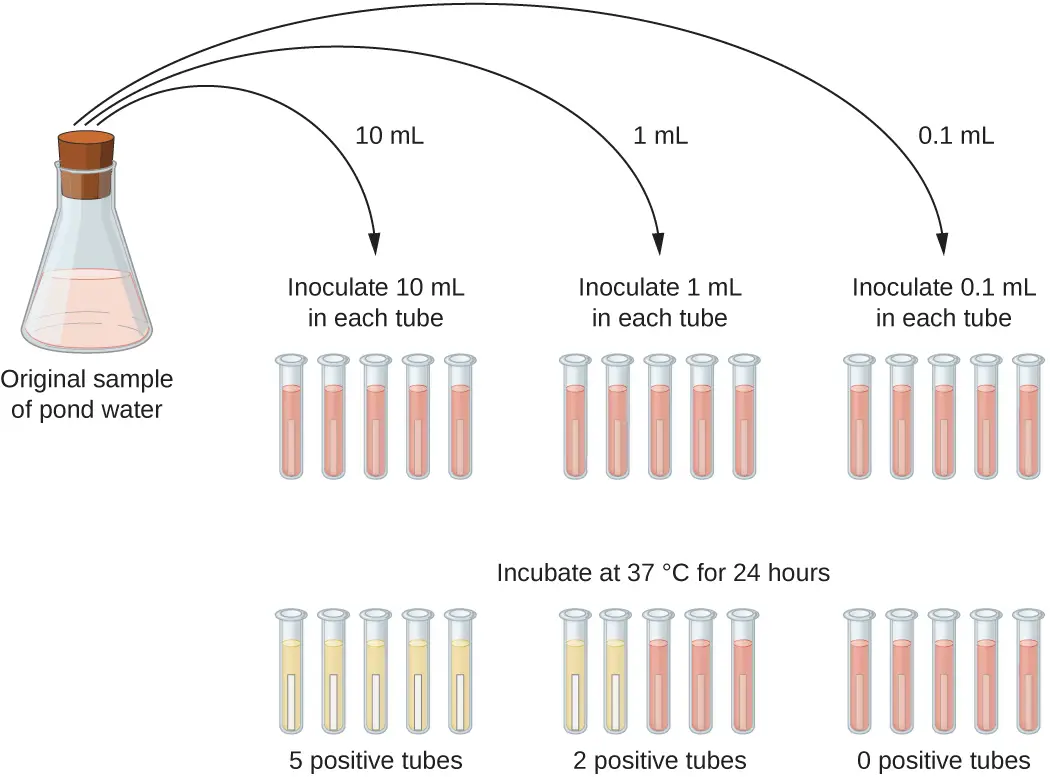 serial vs parallel dilution method microbiology