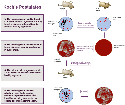 Koch's postulates of disease