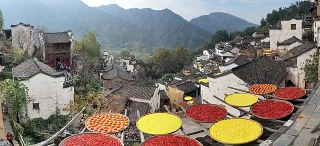 Sun drying - Sun drying