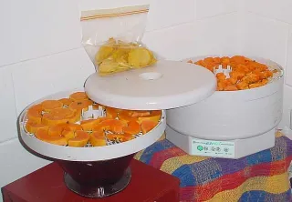 Food dehydrator - Food dehydrator