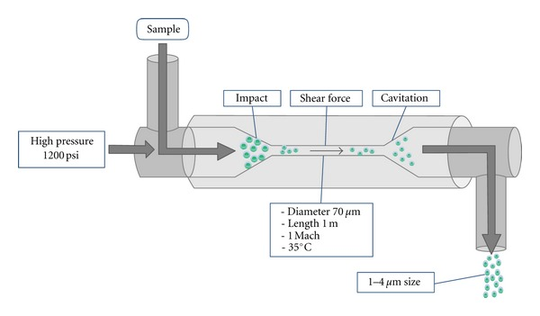 High-pressure homogenizer - High-pressure homogenizerImage source:Enhancement of Lipid Extraction from Marine Microalga, Scenedesmus Associated with High-Pressure Homogenization Process