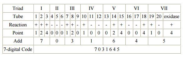 Numbering in API 20E Test Strip - Numbering in API 20E Test Strip