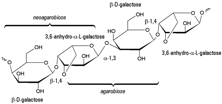 Agarose - Backbone structure of agarose.