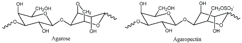 - Chemical structure of Agar