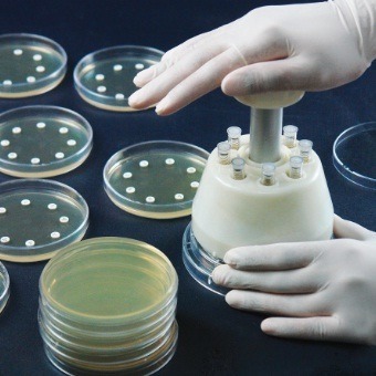 Using antibiotic disc dispenser - Image 2: Using antibiotic disc dispenser