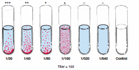 Determination of antibody titer - Determination of antibody titer