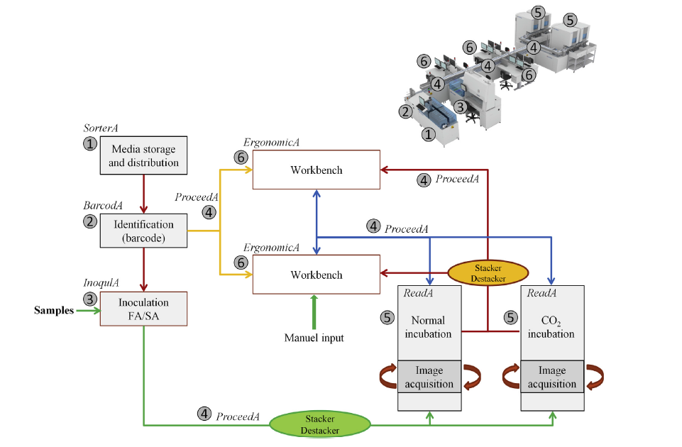 BD Kiestra TLA system workflows  - BD Kiestra TLA system workflows (Image source-Ref-1)