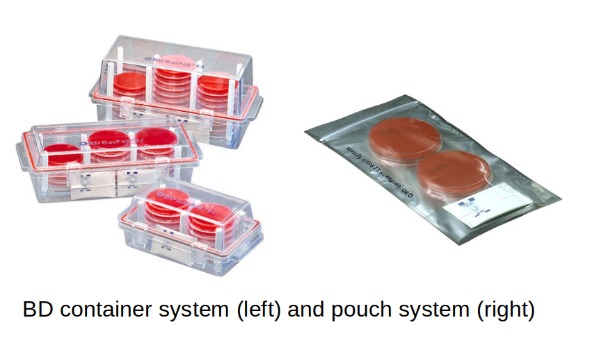 BD GasPak System - BD GasPak System