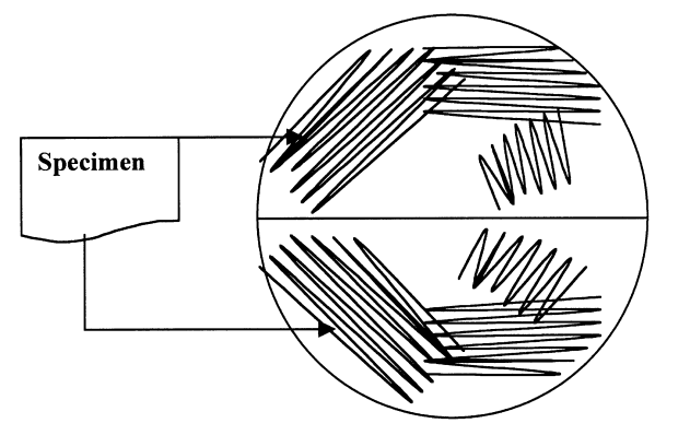 Bi-plate streaking - Bi-plate streaking