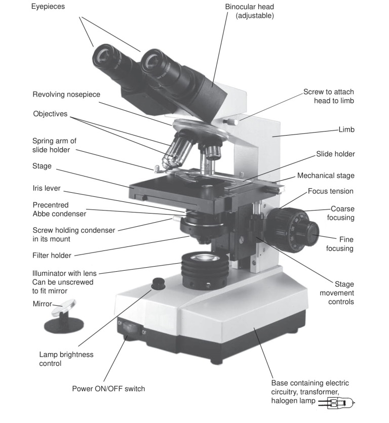 Parts of Binocular Medical Microscope with built-in Illumination - Parts of Binocular Medical Microscope with built-in Illumination
