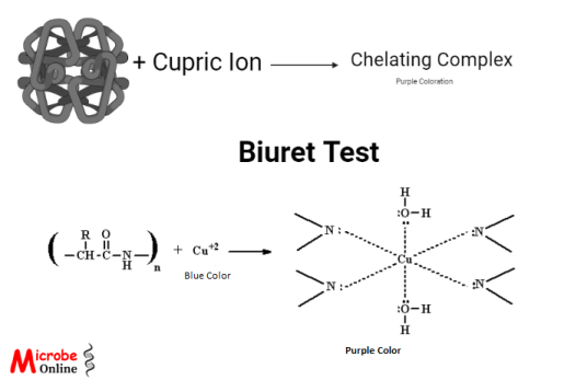 Principle of Biuret Test