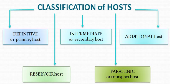 Types of host of parasite - Hosts of parasite