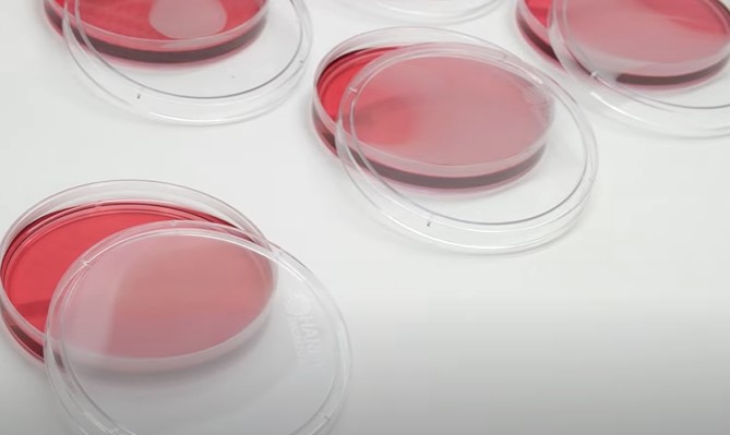 Dispensing and drying of Culture Media - Dispensing and Drying of Culture Media