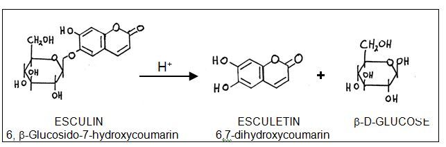 Esculin Hydrolysis; Chemical reaction - Esculin hydrolysis test
