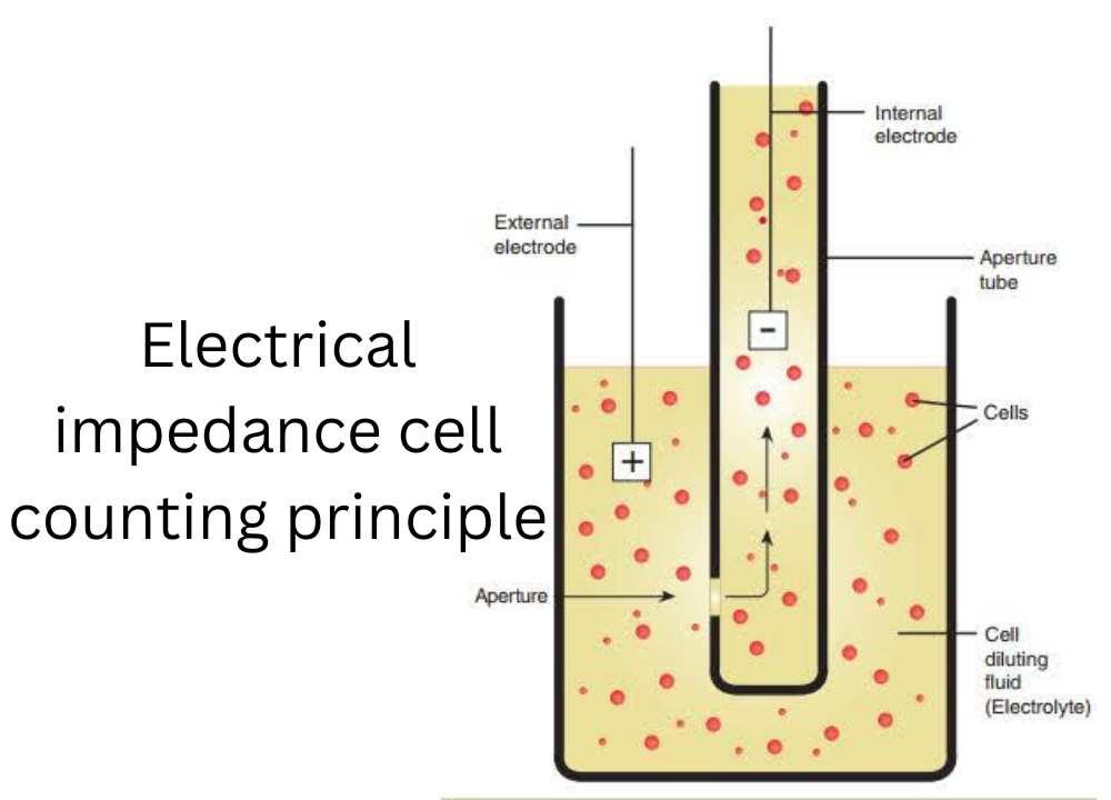 Illustration of electrical impedance cell counting principle - Illustration of electrical impedance cell counting principle