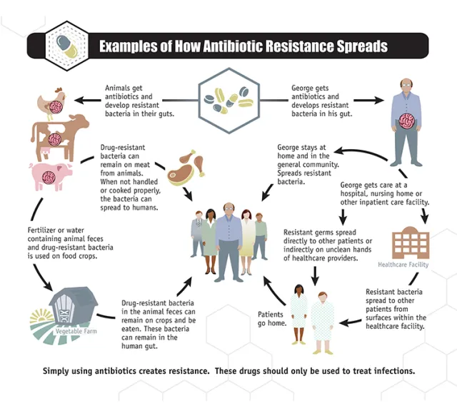 Spread of antibiotics resistance - Examples of How Antibiotic Resistance Spreads (source: CDC)