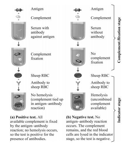 Controls should be used along with the test to ensure that (a)Antigen and serum are not anti complimentary (b)The appropriate amount of complement is used and (c) The sheep red blood cells do not undergo autolysis - Fig: Complement Fixation Test Procedure/Results