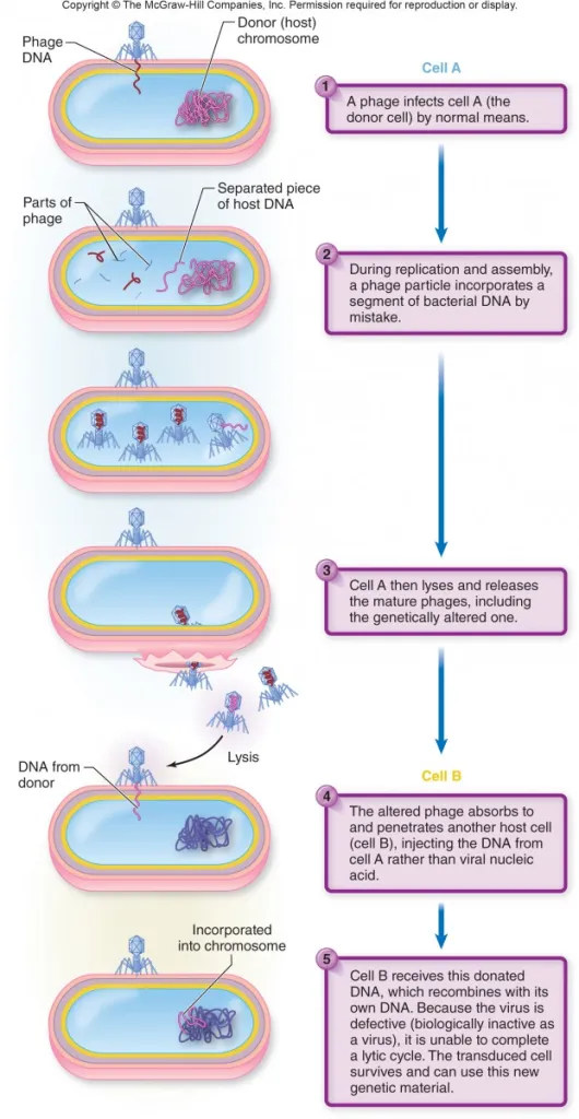 Generalized transduction