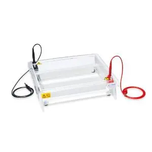 Cellulose acetate electrophoresis unit - Horizontal cellulose acetate electrophoresis unit