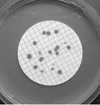 Membrane filtration technique - Membrane filtration technique