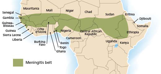 - The African meningitis belt. These sub-Saharan countries are at high epidemic risk for meningococcal meningitis. (Image source: WHO)