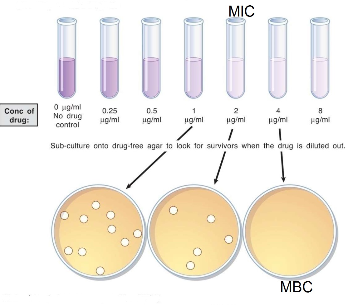 Minimum Inhibitory Concentration and Mininum Bactericidal Concentration