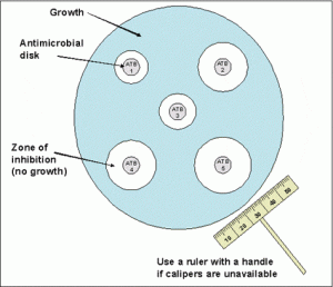 Antimicrobial Susceptibility testing  - Antimicrobial Susceptibility testing using disk diffusion
