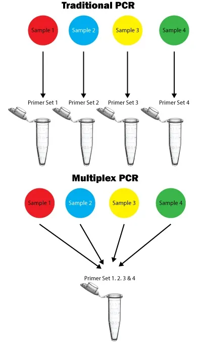 Traditional vs Multiplex PCR - Multiplex vs Standard PCR(Image source:https://info.gbiosciences.com/)