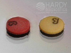 Fig: Nitrocefin test result (Left Positive), Right (Negative). - Fig: Nitrocefin test result (Left Positive), Right (Negative).