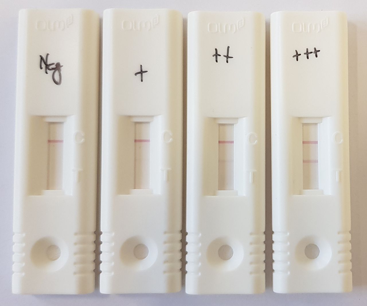 Lateral flow devices, showing from left to right a negative result, followed by increasing test line intensity. - Lateral flow devices, showing from left to right a negative result, followed by increasing test line intensity. (source)