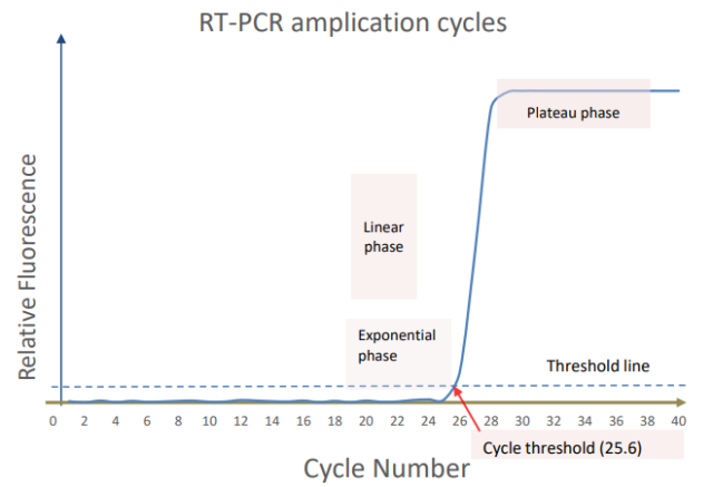 - Stages for RT-PCR post run analysis (Image source: Ref-2)