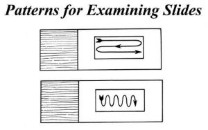 Patterns for Examining the slide - Patterns for Examining the slide