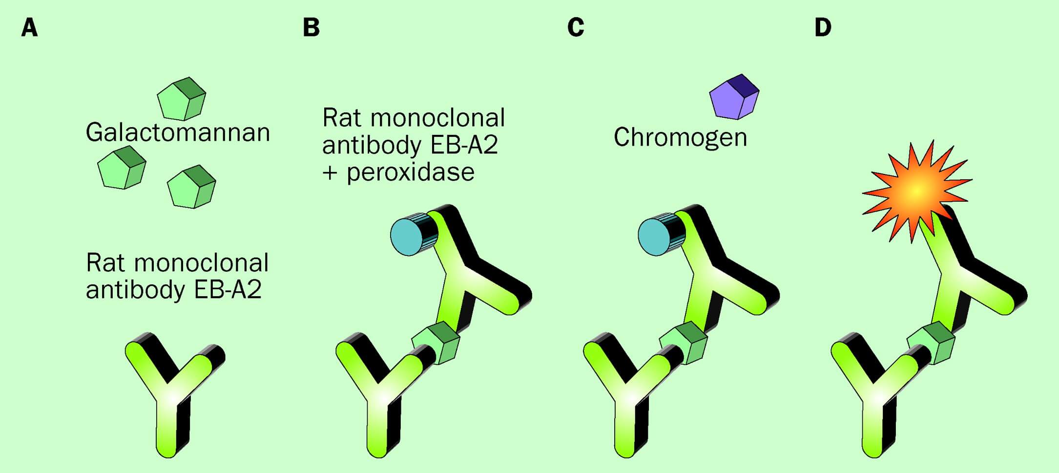 Platelia Aspergillus Galactomannan Enzyme Immunoassay - PlateliaAspergillusGalactomannan Enzyme Immunoassay