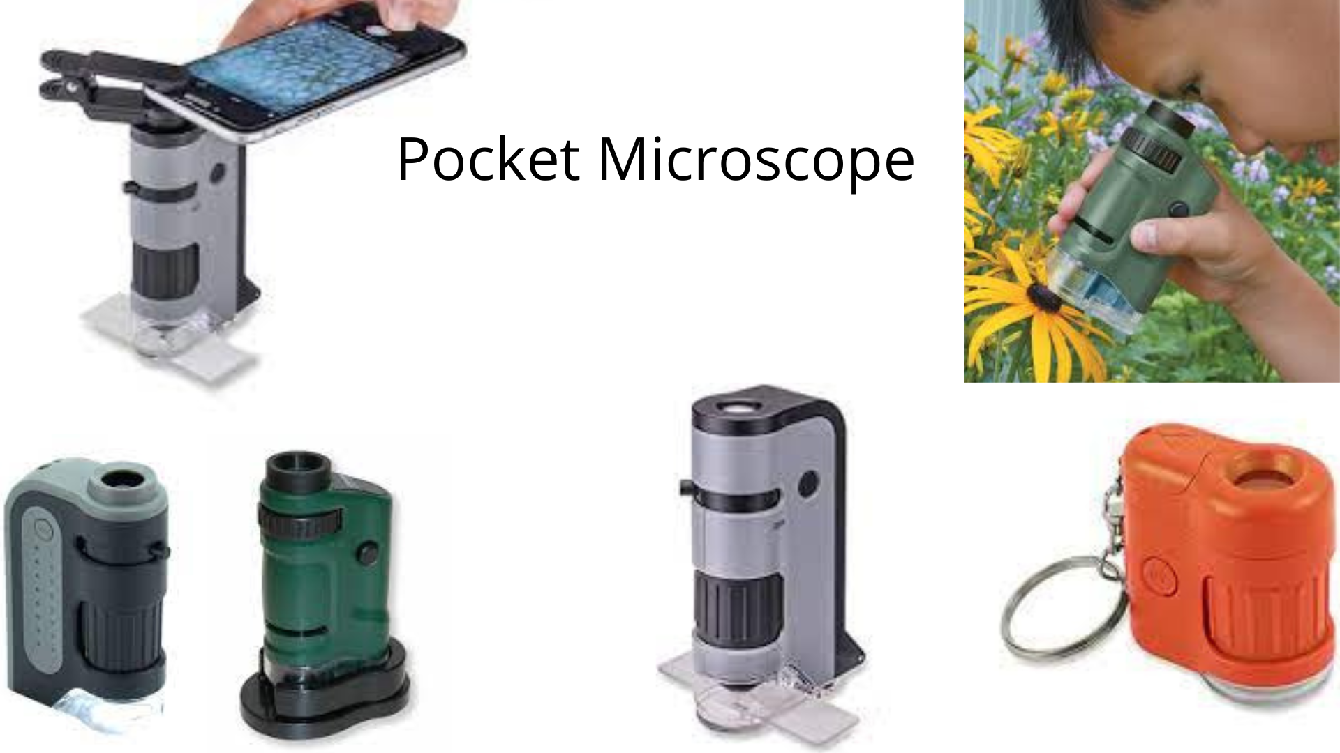 Different types of pocket microscope - Different types of pocket microscope