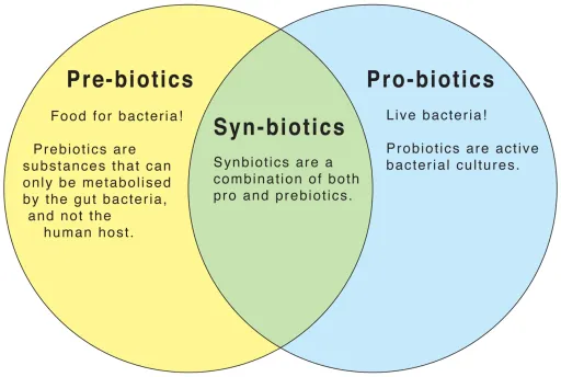 Prebiotics, Probiotics and Synbiotics
