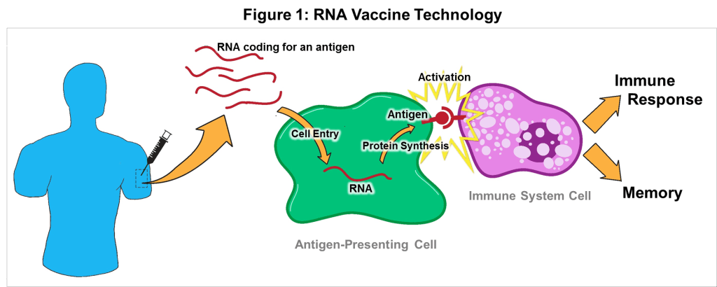  - RNA Vaccine Technology (Image source: Harvard University)