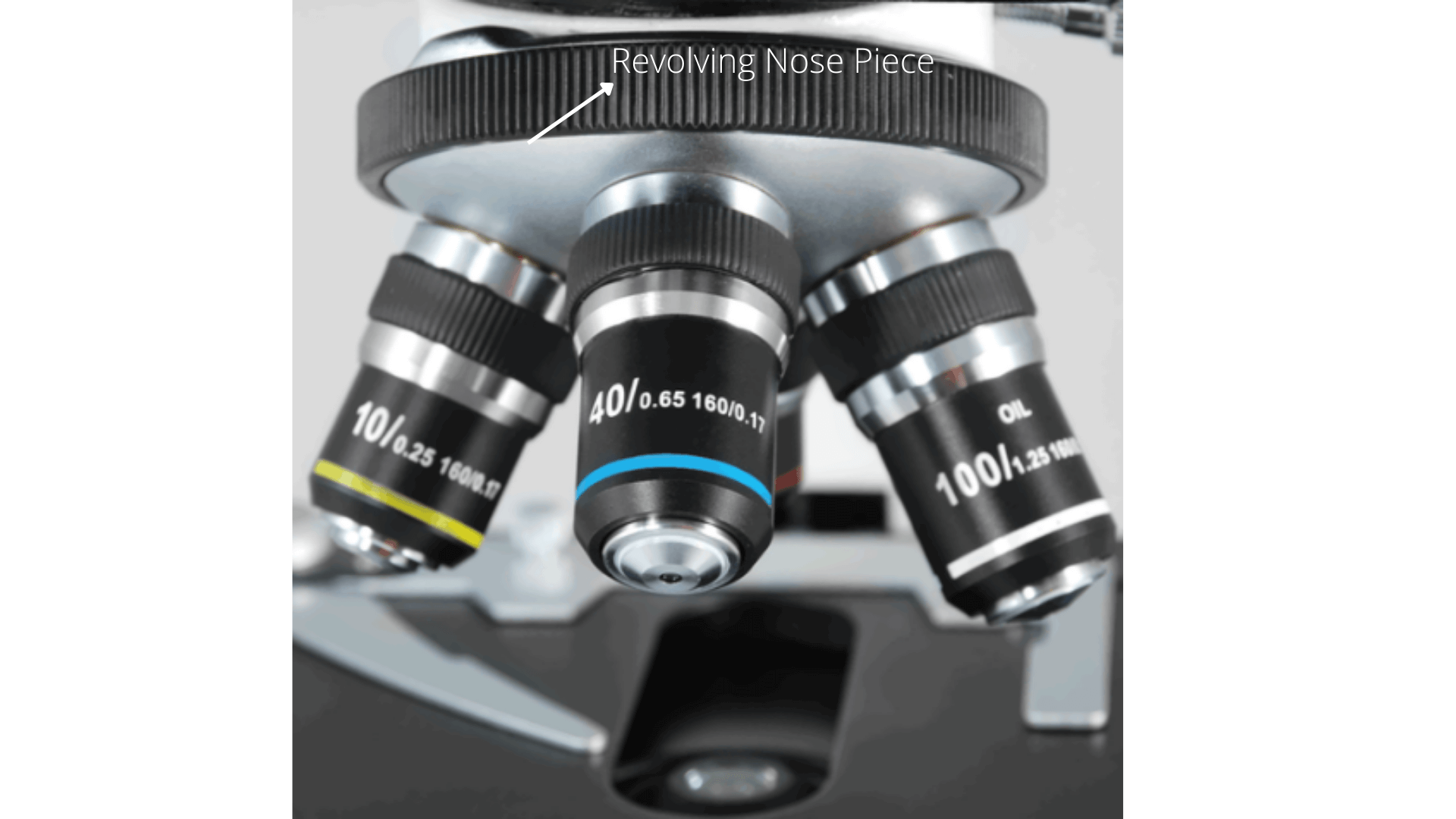 Objective lens with revolving nose piece - Objective lens of a microscope