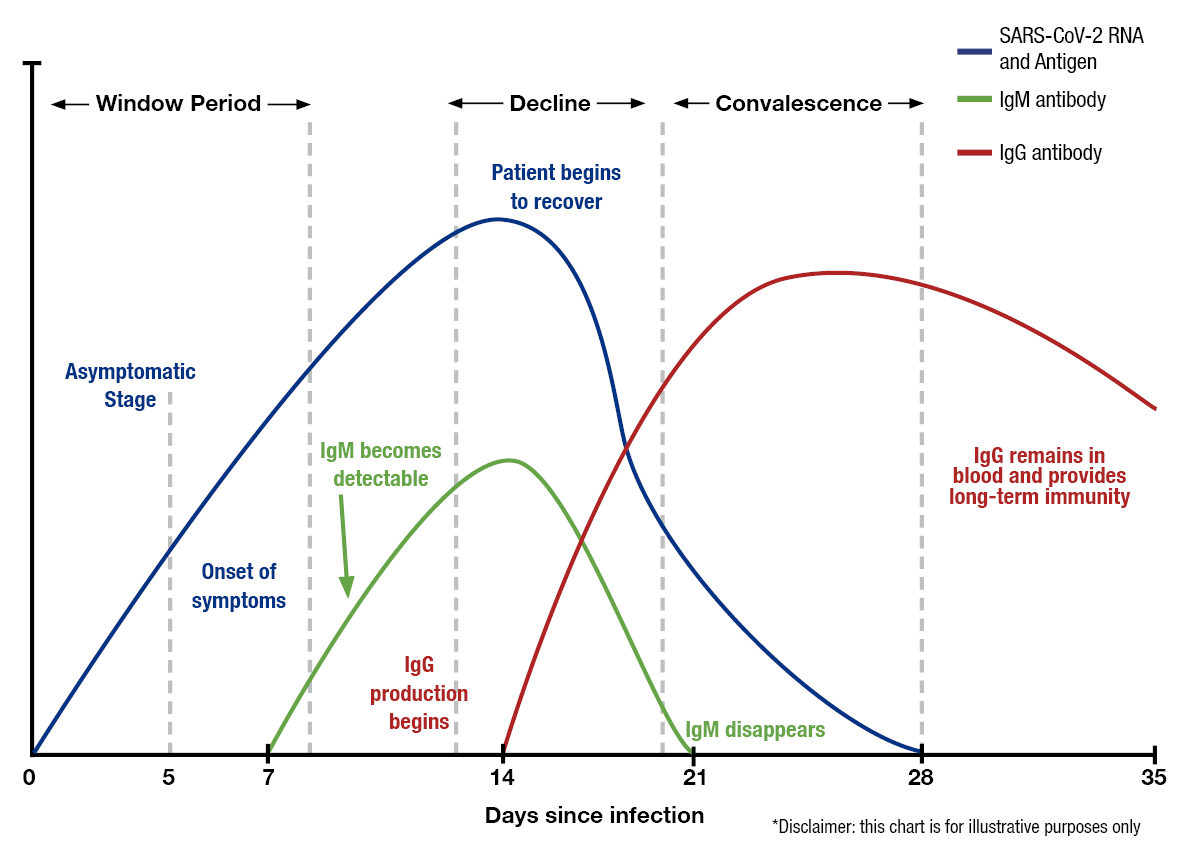 SARS-CoV-2 IgG and IgM in Blood - Variation of the Levels of SARS-CoV-2 RNA and Antigen, IgM and IgG after infection.(Source: diazyme)