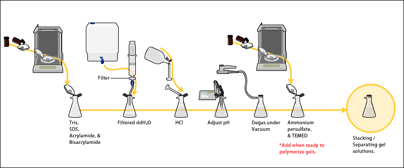 Preparation of polyacrylamide gel - Preparing of the polyacrylamide gel