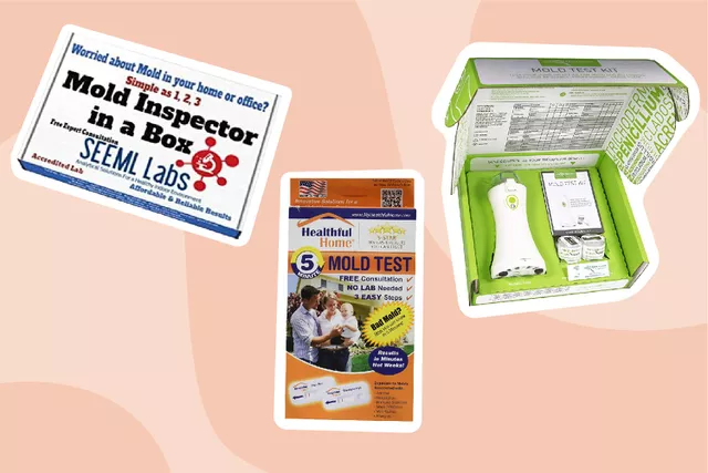  - Image source:https://www.thespruce.com/best-at-home-mold-tests-5080272