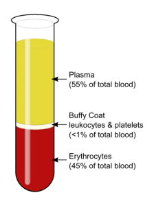 Fig: Schematic picture of a fractioned whole blood sample - Fig: Schematic picture of a fractioned whole blood sample