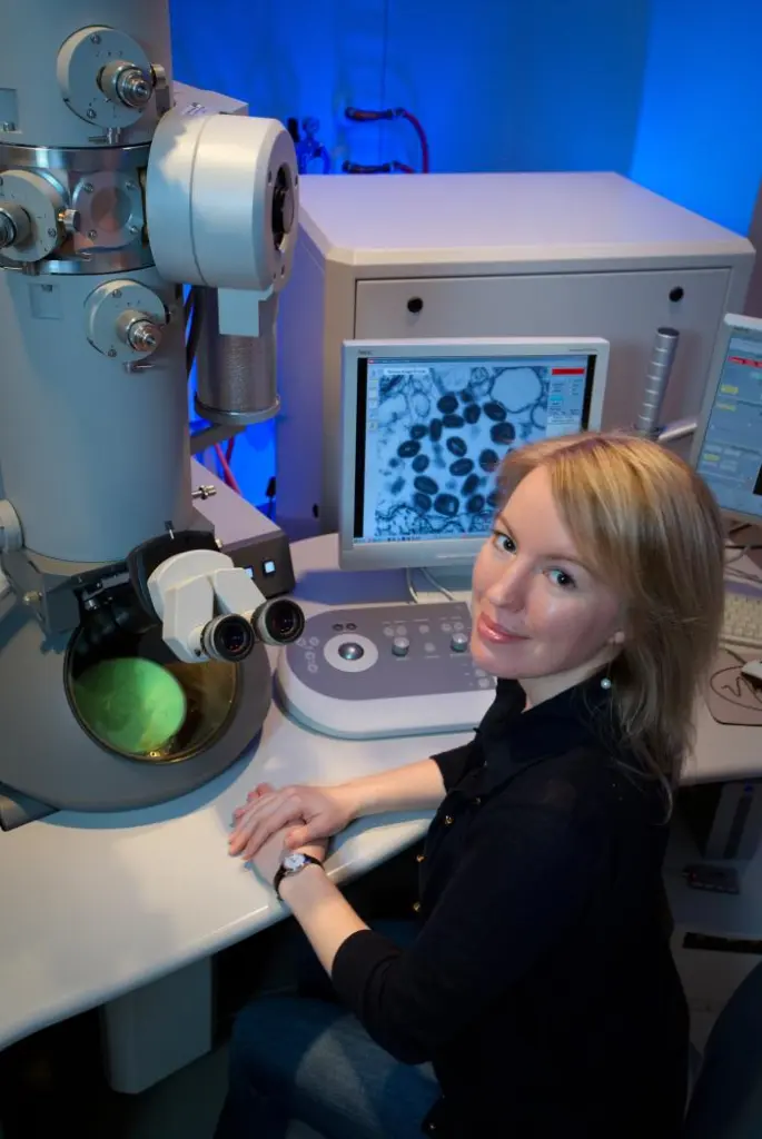 Scientist observing variola virus in TEM  - Scientist observing variola virus in TEM (Image source: CDC/James Gathany)